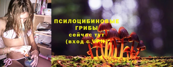 стаф Медвежьегорск